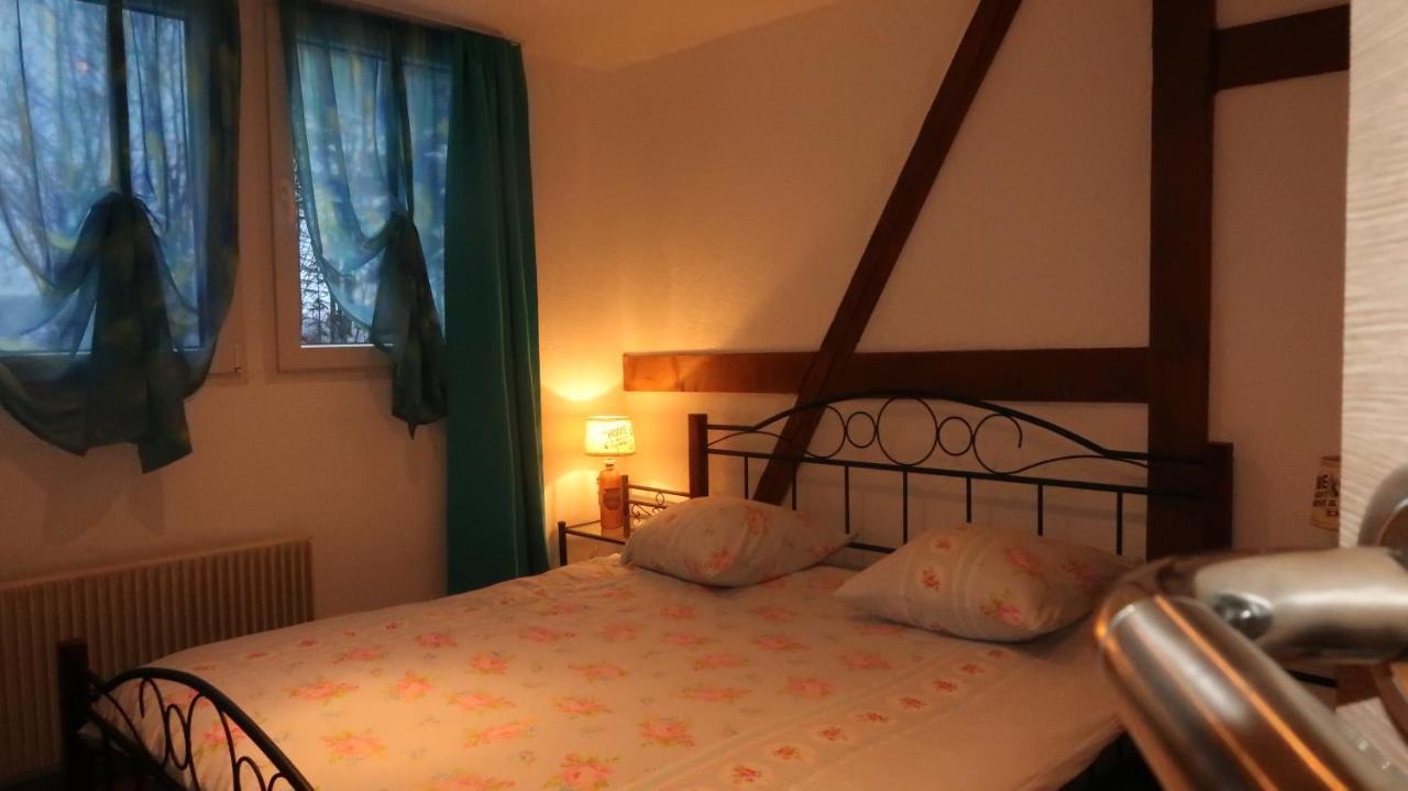 Chalet Burglauenen גרינדלוולד מראה חיצוני תמונה